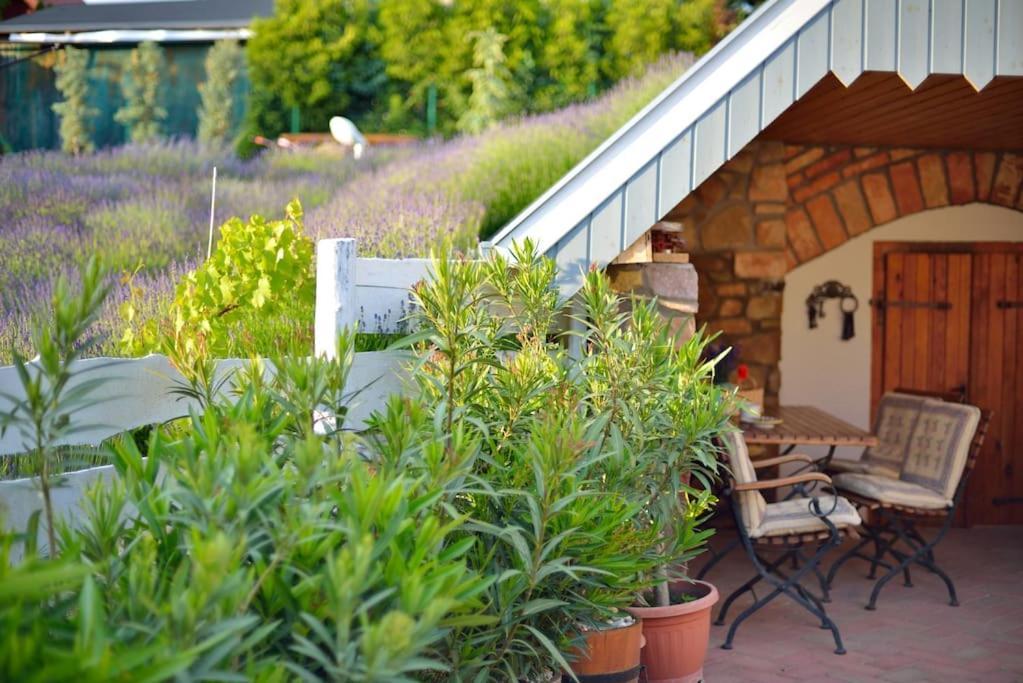 Levendula Vendeghaz Lovas Villa Buitenkant foto