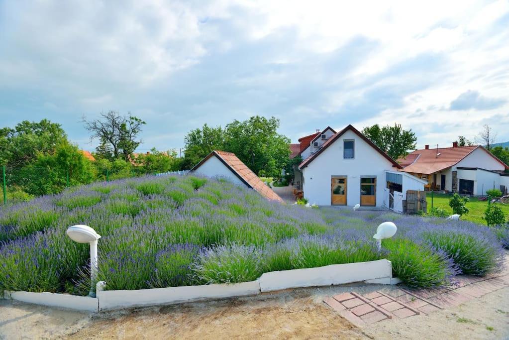 Levendula Vendeghaz Lovas Villa Buitenkant foto